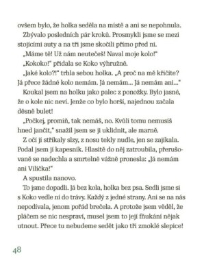 Ukázka