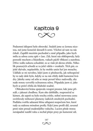 Ukázka