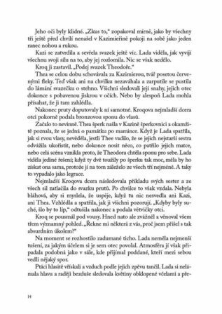 Ukázka