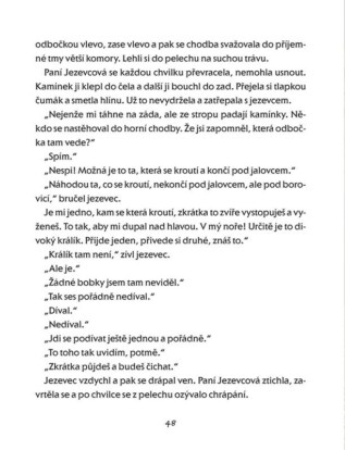 Ukázka