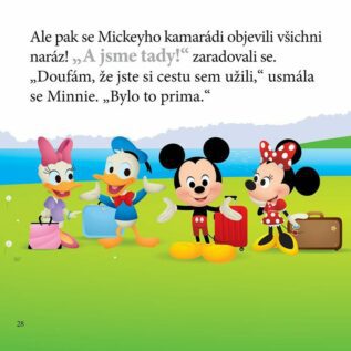 Ukázka