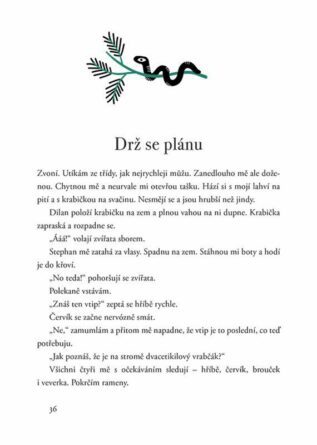 Ukázka
