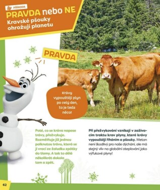 Ukázka