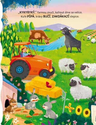 Ukázka