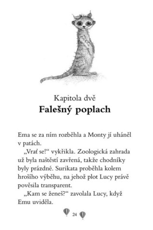 Ukázka