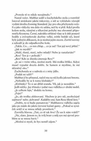 Ukázka