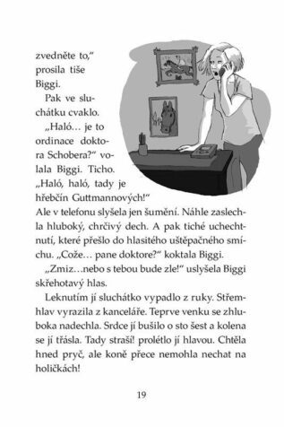 Ukázka