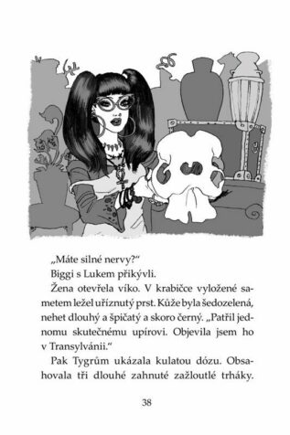 Ukázka