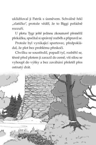 Ukázka