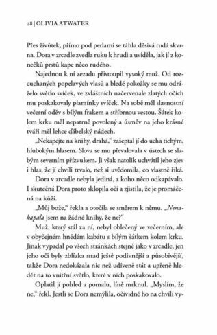 Ukázka