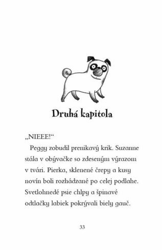 Ukázka