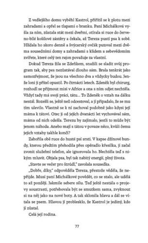 Ukázka