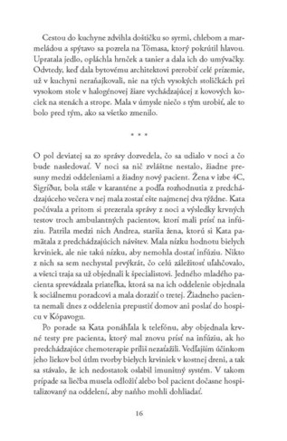 Ukázka