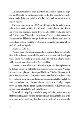 Ukázka