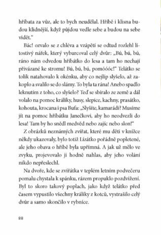 Ukázka