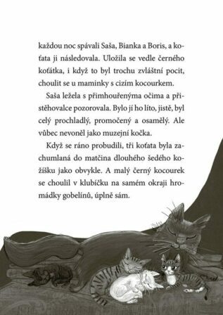 Ukázka