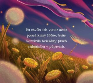 Ukázka