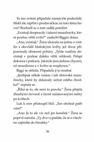 Ukázka