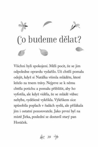 Ukázka