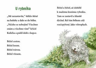 Ukázka