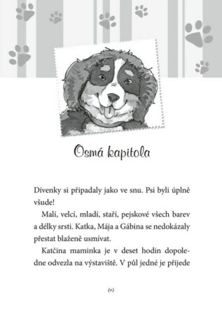 Ukázka
