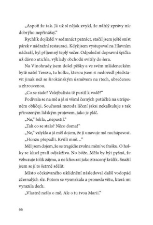 Ukázka