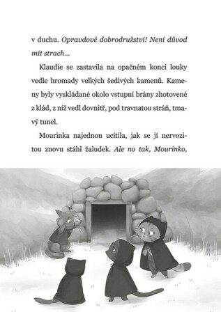 Ukázka