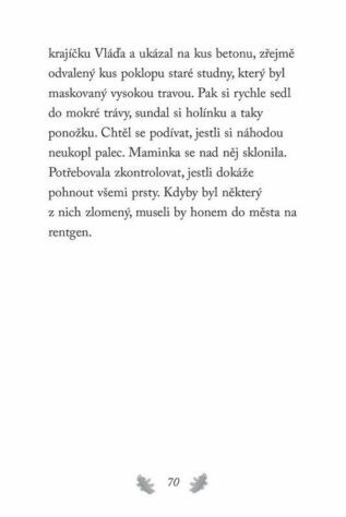 Ukázka
