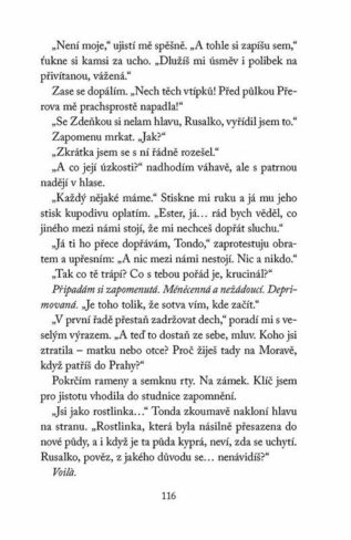 Ukázka