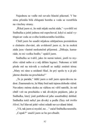 Ukázka