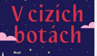 V cizích botách - Jojo Moyesová