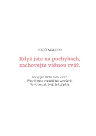 Ukázka