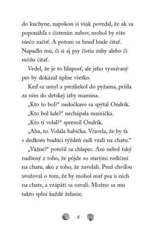 Ukázka