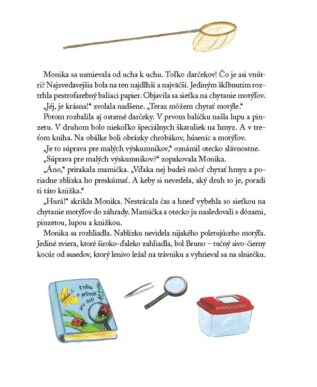 Ukázka