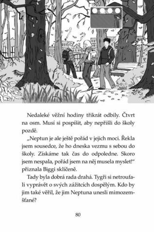 Ukázka