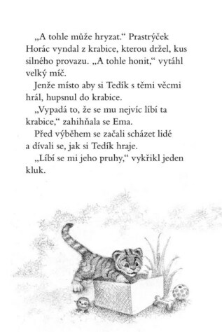 Ukázka