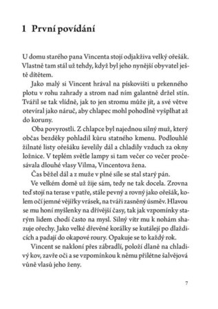 Ukázka