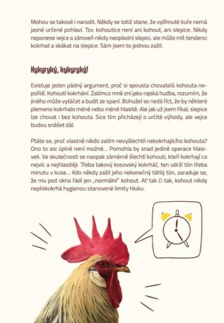 Ukázka