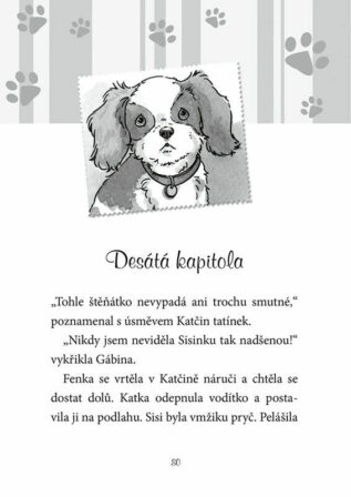 Ukázka