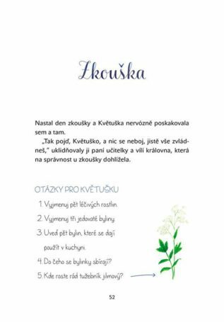 Ukázka