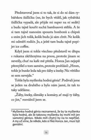 Ukázka