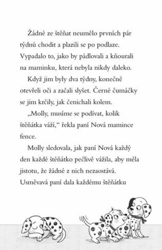 Ukázka