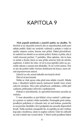 Ukázka