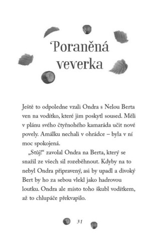 Ukázka