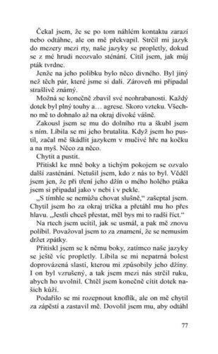 Ukázka