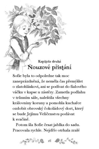 Ukázka