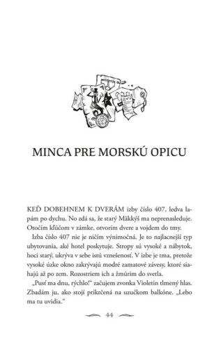 Ukázka