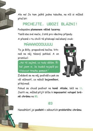 Ukázka