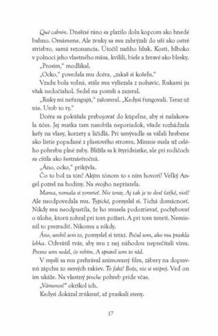 Ukázka