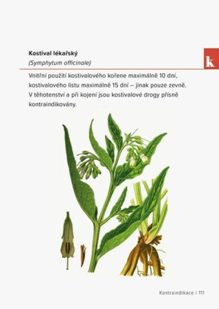 Ukázka